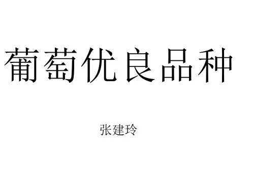 葡萄主要优良品种