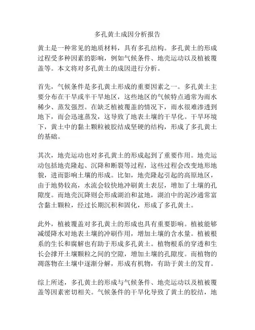 多孔黄土成因分析报告