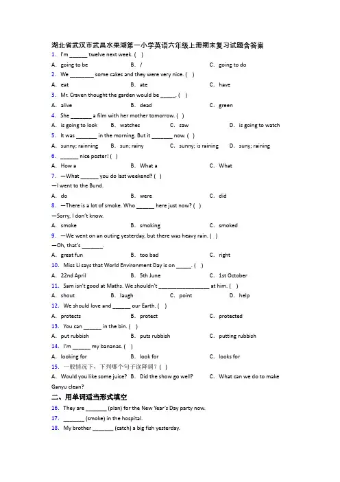 湖北省武汉市武昌水果湖第一小学英语六年级上册期末复习试题含答案
