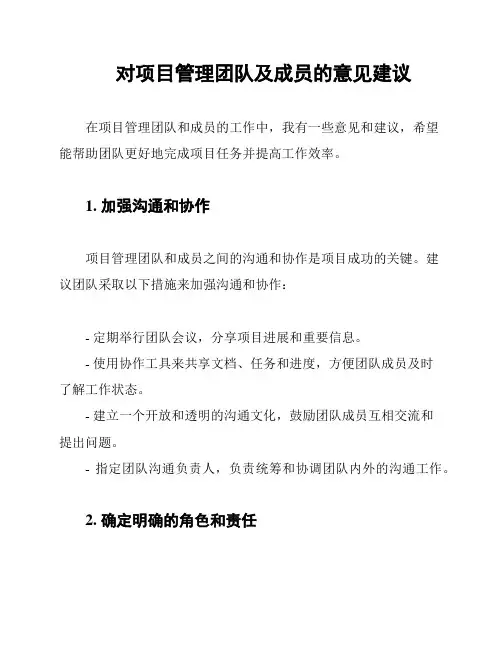 对项目管理团队及成员的意见建议