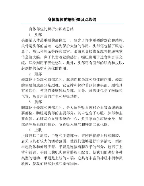 身体部位的解析知识点总结