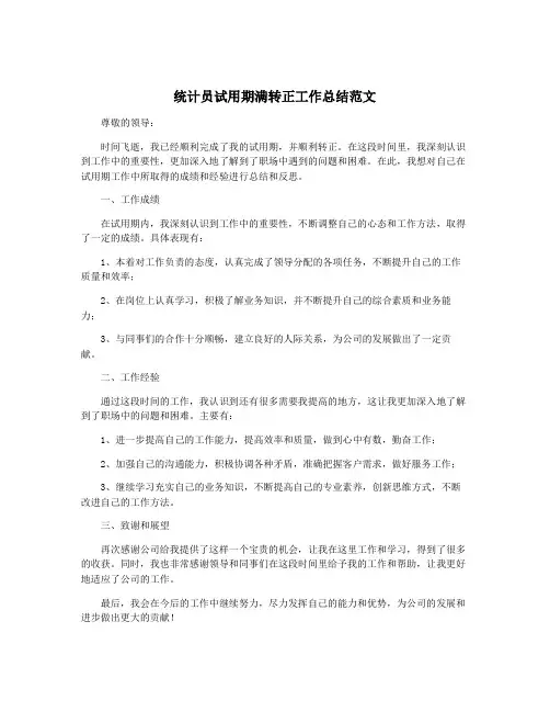 统计员试用期满转正工作总结范文