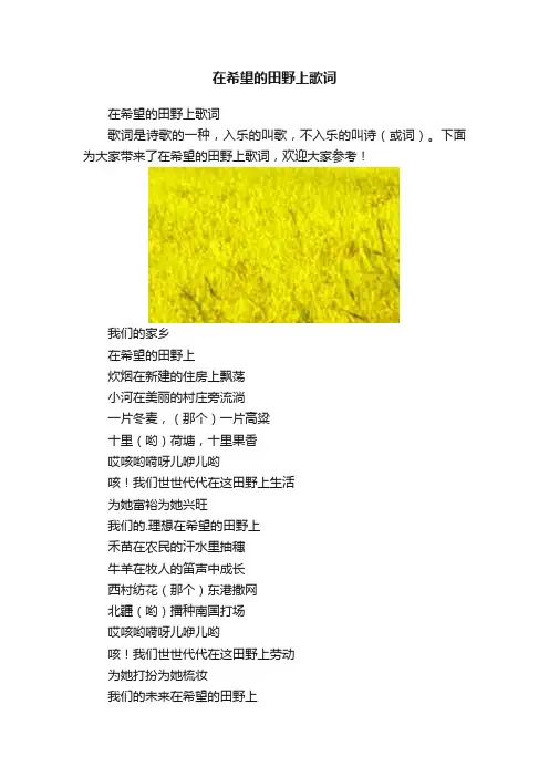 在希望的田野上歌词