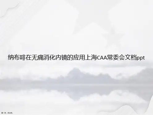 纳布啡在无痛消化内镜的应用上海CAA常委会讲课文档