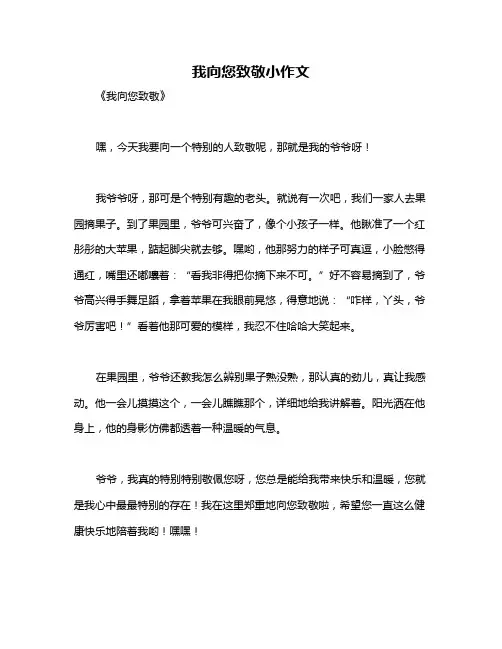 我向您致敬小作文