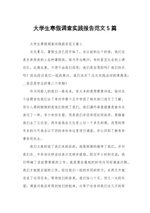 大学生寒假调查实践报告范文5篇