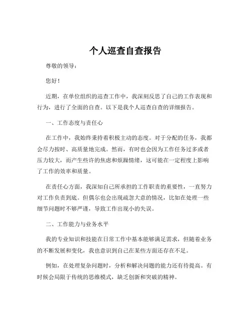 个人巡查自查报告