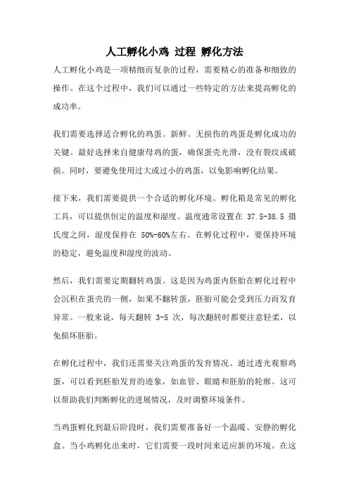 人工孵化小鸡 过程 孵化方法