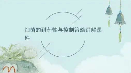 细菌的耐药性与控制策略讲解课件