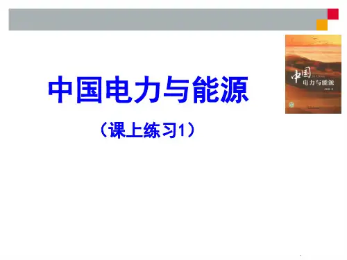能源战略练习题