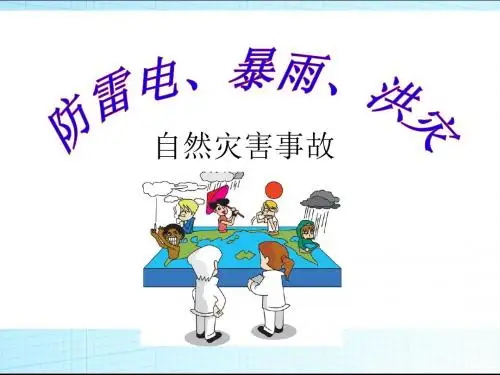 最新主题班队活动中队活动防雷电、暴雨、洪灾主题班会精品PPT课件