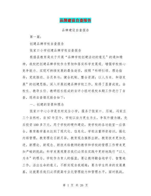品牌建设自查报告(完整版)