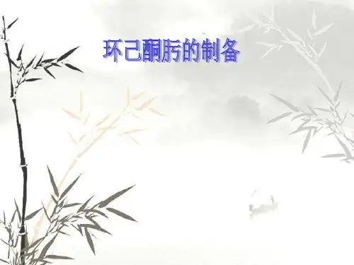 环己酮肟制备