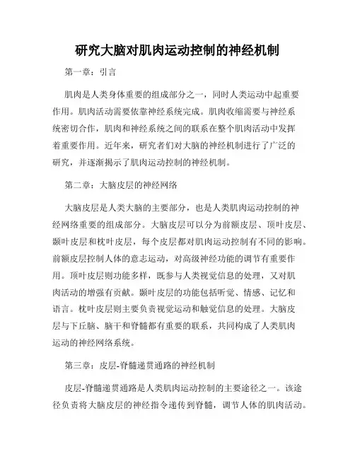 研究大脑对肌肉运动控制的神经机制