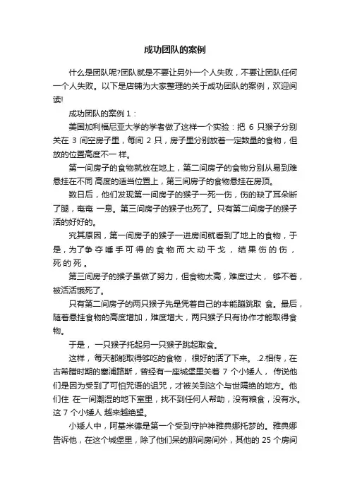 成功团队的案例