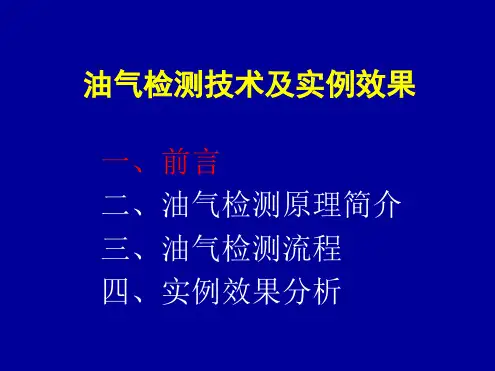 油气检测原理与实例