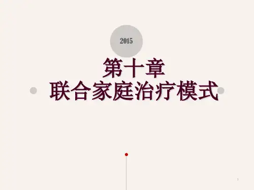 联合家庭治疗模式