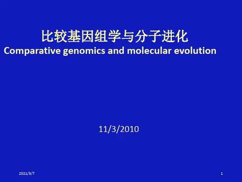 比较基因组学与分子进化(1)