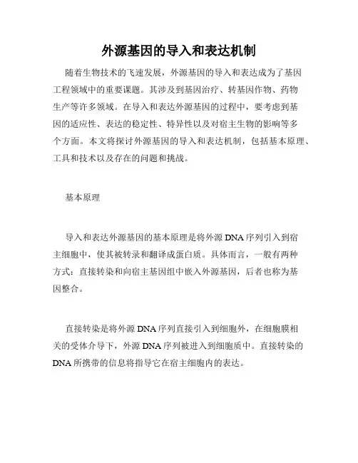 外源基因的导入和表达机制