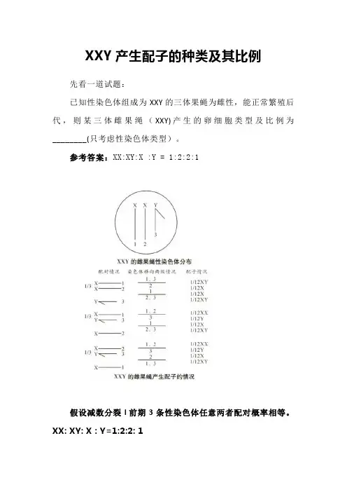 备课素材：XXY产生配子的种类及其比例 高一下学期生物人教版必修2