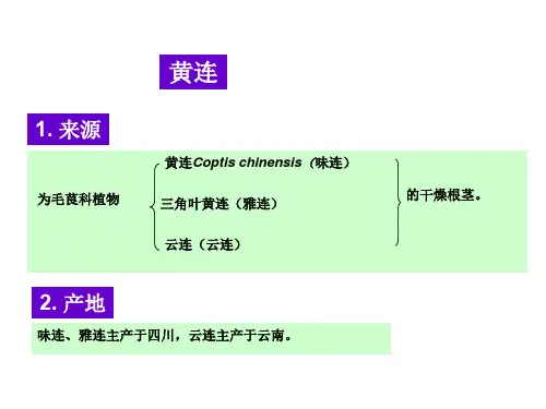 黄连