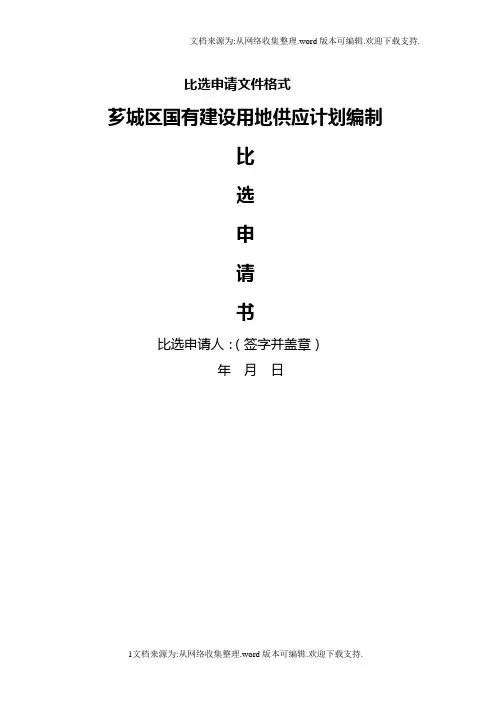 比选申请文件格式