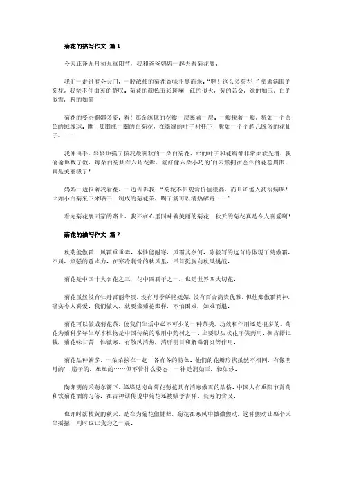 菊花的样子,颜色,气味,其他作文