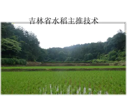 2014年吉林省水稻主推技术