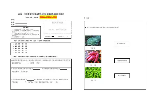 【绿色评价】合肥市发展绿色指标苏教版五年级下册科学第二学期试题卷+答题卷+答案(原卷可编辑)