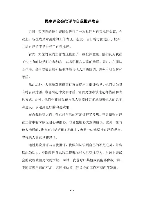 民主评议会批评与自我批评发言