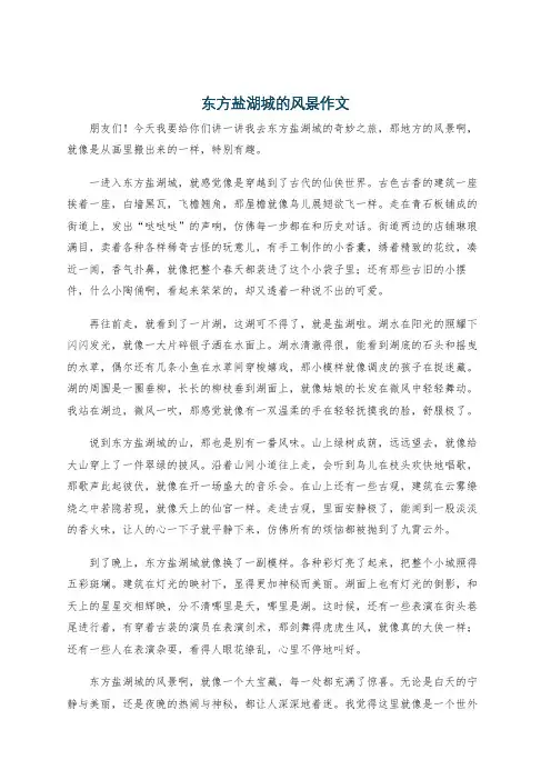 东方盐湖城的风景作文