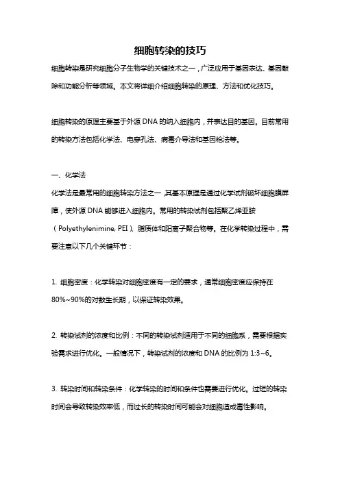 细胞转染的技巧