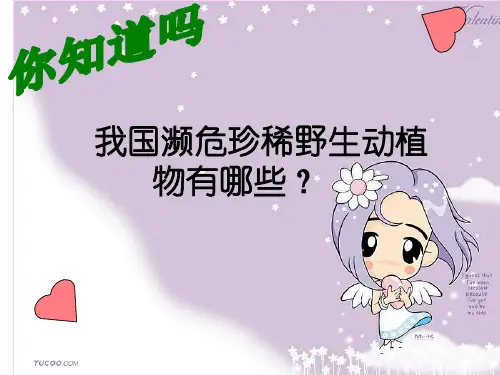 我国濒危珍稀野生动植物有哪些？