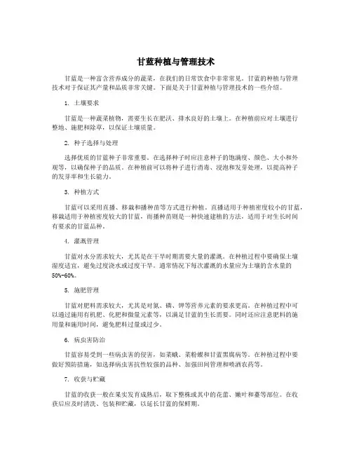 甘蓝种植与管理技术