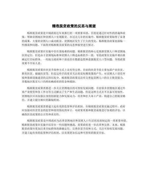精准脱贫政策的反思与展望