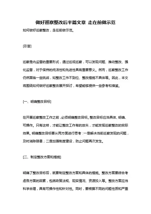 做好巡察整改后半篇文章 走在前做示范