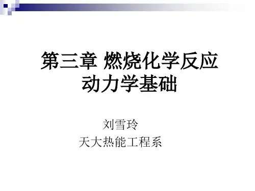 第三章燃烧化学反应动力学基础