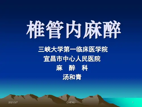 椎管内麻醉PPT课件
