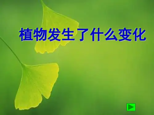 教科版科学三年级上册：1.6《植物发生了什么变化》ppt课件(3)