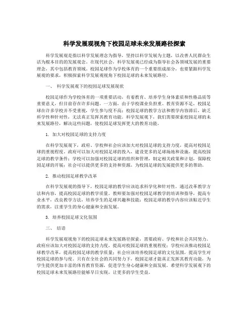科学发展观视角下校园足球未来发展路径探索