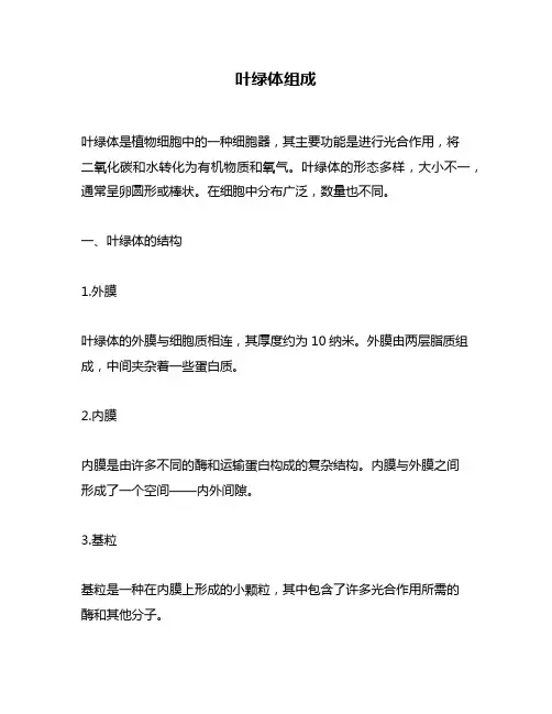 叶绿体组成