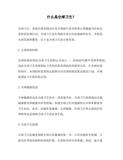什么是全球卫生？