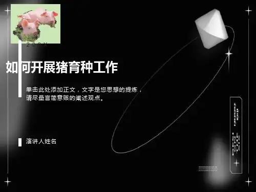 猪的育种方案