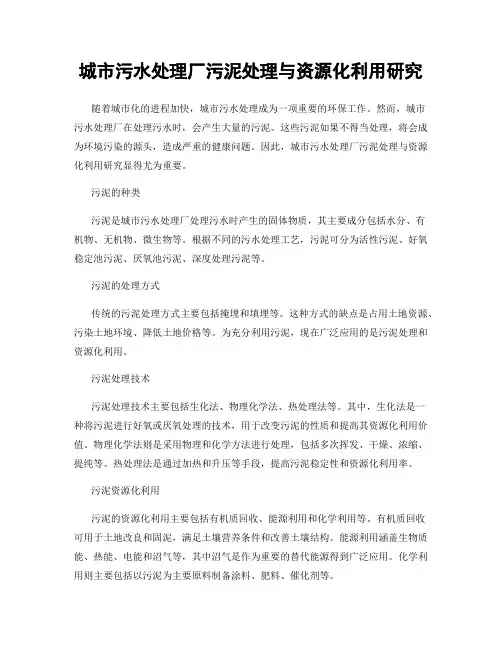 城市污水处理厂污泥处理与资源化利用研究