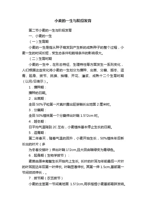 小麦的一生与阶段发育