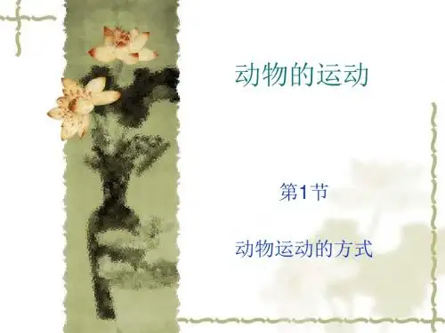 动物运动的方式PPT课件1