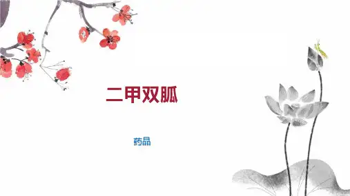 二甲双胍    