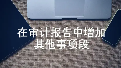 在审计报告中增加其他事项段