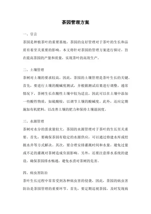 茶园管理方案