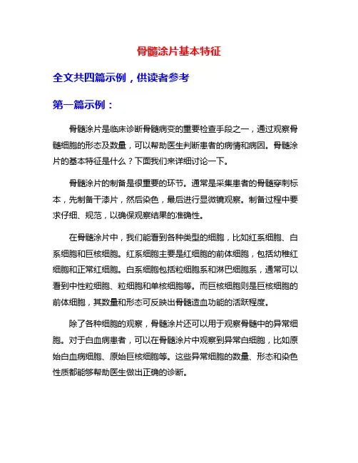 骨髓涂片基本特征